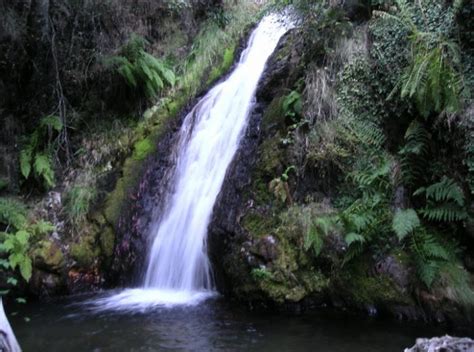 Las mejores 7 cascadas en León